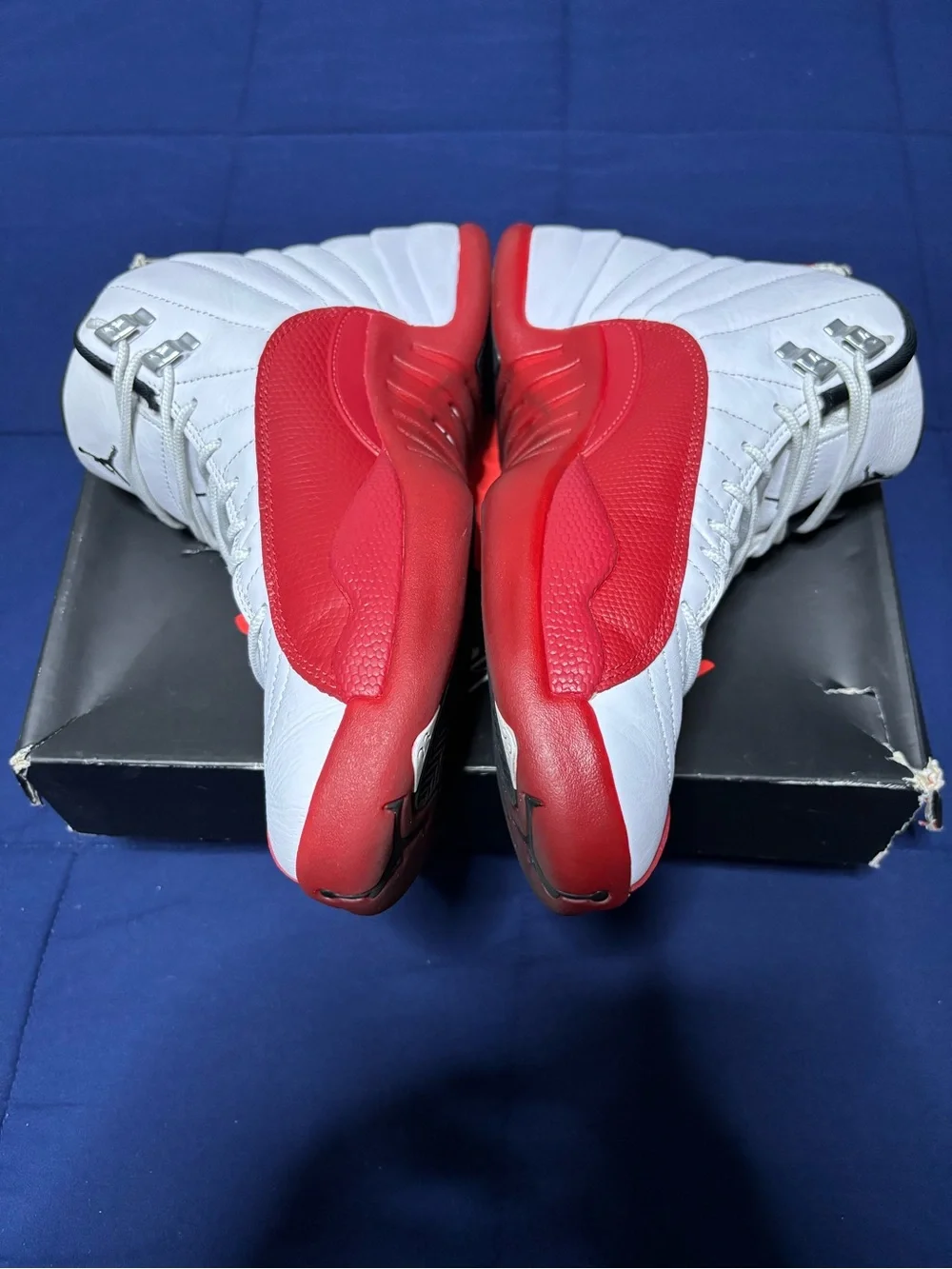 Jordan 12 retro